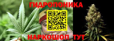 гидра Пыть-Ях